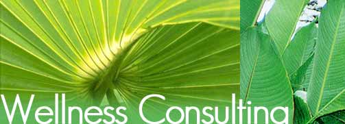 Wellness Consulting